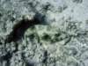 dsc06018_small.jpg