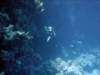 dsc06026_small.jpg