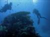 dsc06028_small.jpg