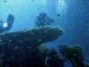 dsc06029_small.jpg