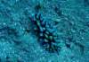 dsc06033_small.jpg
