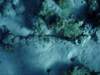 dsc06035_small.jpg