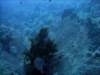 dsc06038_small.jpg