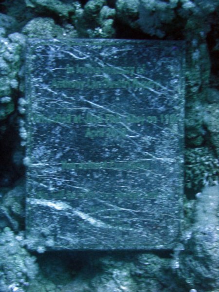 dsc06039.jpg