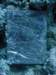 dsc06039_small.jpg