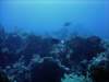 dsc06040_small.jpg