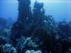 dsc06041_small.jpg