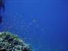 dsc06044_small.jpg
