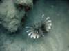 dsc06047_small.jpg