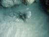 dsc06048_small.jpg