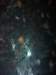 dsc06051_small.jpg