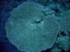 dsc06055_small.jpg