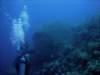 dsc06056_small.jpg