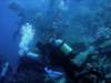 dsc06059_small.jpg