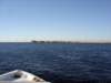 dsc06070_small.jpg