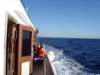 dsc06071_small.jpg