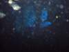 dsc06072_small.jpg