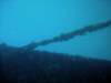 dsc06087_small.jpg