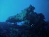 dsc06088_small.jpg