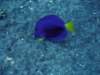 dsc06090_small.jpg