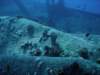 dsc06091_small.jpg