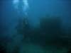 dsc06097_small.jpg