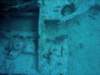 dsc06099_small.jpg