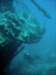 dsc06106_small.jpg