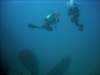 dsc06110_small.jpg