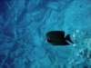 dsc06114_small.jpg