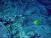 dsc06115_small.jpg