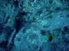 dsc06116_small.jpg