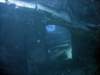 dsc06117_small.jpg