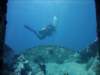 dsc06118_small.jpg