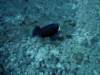 dsc06119_small.jpg
