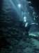 dsc06130_small.jpg