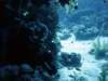 dsc06133_small.jpg