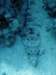 dsc06134_small.jpg