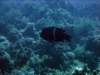 dsc06135_small.jpg