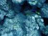 dsc06137_small.jpg