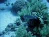 dsc06138_small.jpg