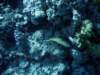 dsc06139_small.jpg