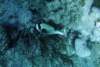 dsc06143_small.jpg
