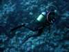 dsc06146_small.jpg