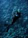 dsc06147_small.jpg