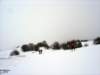 dsc06176_small.jpg