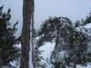 dsc06177_small.jpg