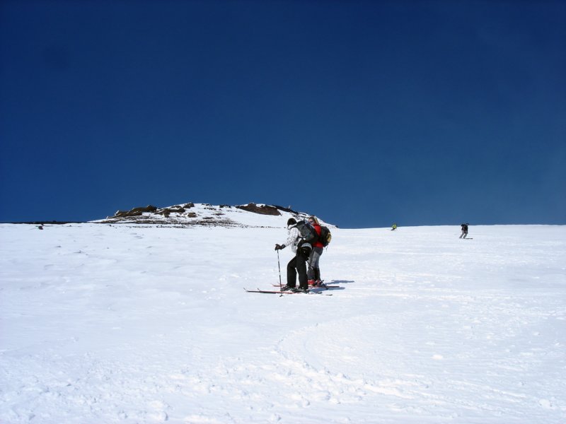 dsc06220.jpg