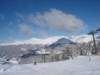 Photo Number 5