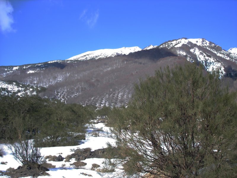dsc06234.jpg